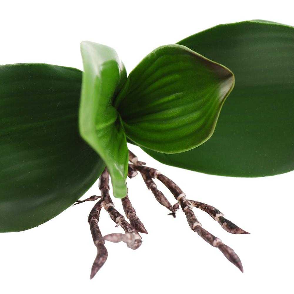 Small Artificial Real Touch Orchid Leaf& Root Bundles,Simulation Green Plants