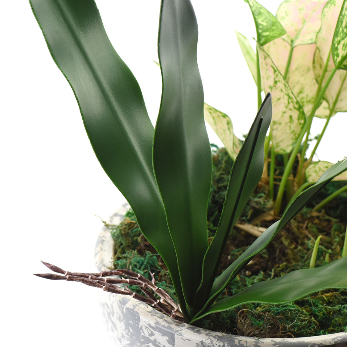 Cymbidiums Leaf Artificial Real Touch Orchid Leaf& Root Bundles,Simulation Green Plants