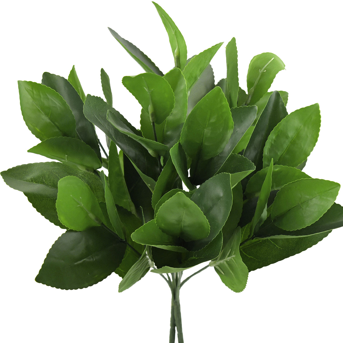 2 Branches of Artificial Lemon Leaves FiveSeasonStuff