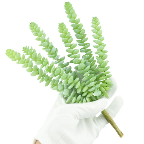 2 Stems Realistic-Looking Artificial/Faux/Fake Succulent Unpotted Plant Bulk for Decoration, Gifts, DIY (Green)