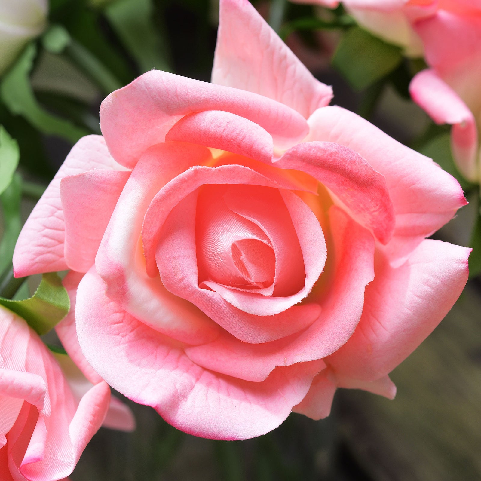 FiveSeasonStuff Watermelon Pink Real Touch Garden Rose Artificial Flowers Wedding, Bridal, Home Décor 5 Stems 9.8"