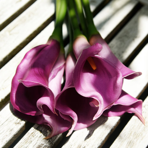 Dark Red Violet Real Touch Large Size Calla Lilies Artificial Flower Bouquet 6 Stems