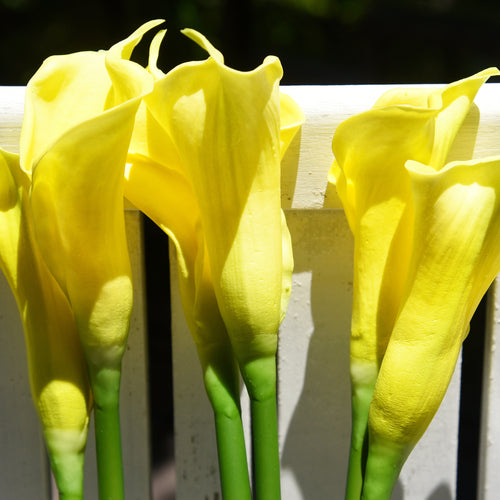 Bright Yellow Real Touch Large Size Calla Lilies Artificial Flower Bouquet 6 Stems