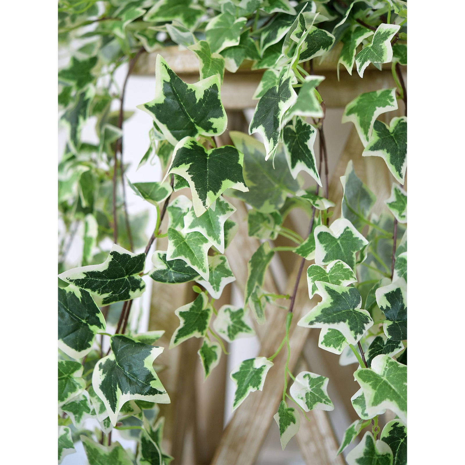 FiveSeasonStuff 4.3 ft (130cm) Cascading Variegated Ivy Artificial Garland