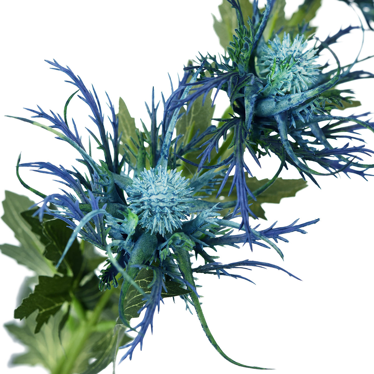 Real Size Artificial Real Touch Eryngium (Sea Holly) Big Blue Thistles (8 Stems)