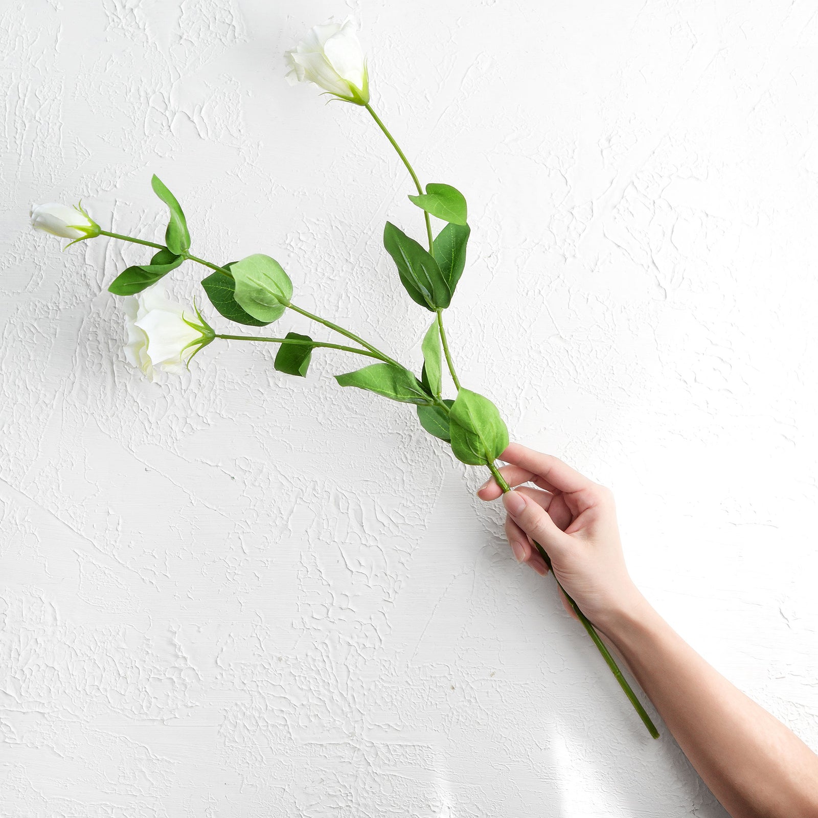 FiveSeasonStuff Real Touch White Lisianthus Floral White Artificial Flowers Tall Long Stems 58cm 3 Stems