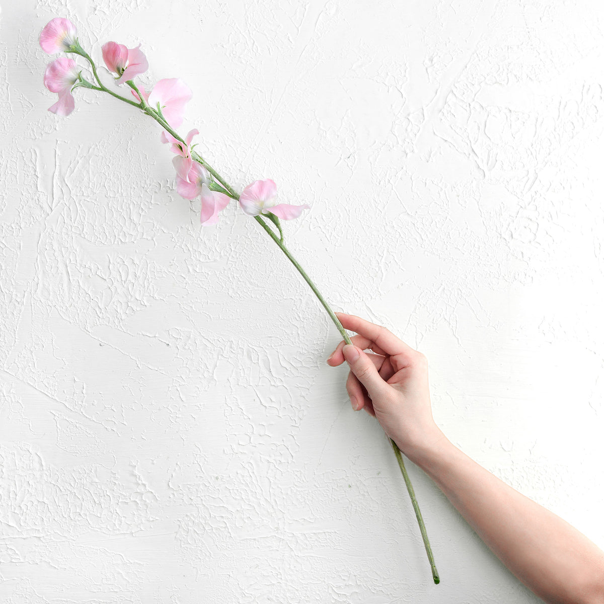Misty Light Pink Sweet Pea Flowers Real Looking Artificial flowers