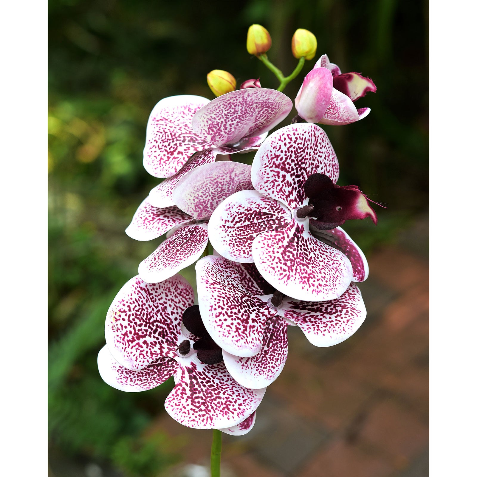 Light Magenta 2 Stems Real Touch Artificial Butterfly Orchids/Moth Orchid/Phalaenopsis Flowers 27.6" Tall 70cm