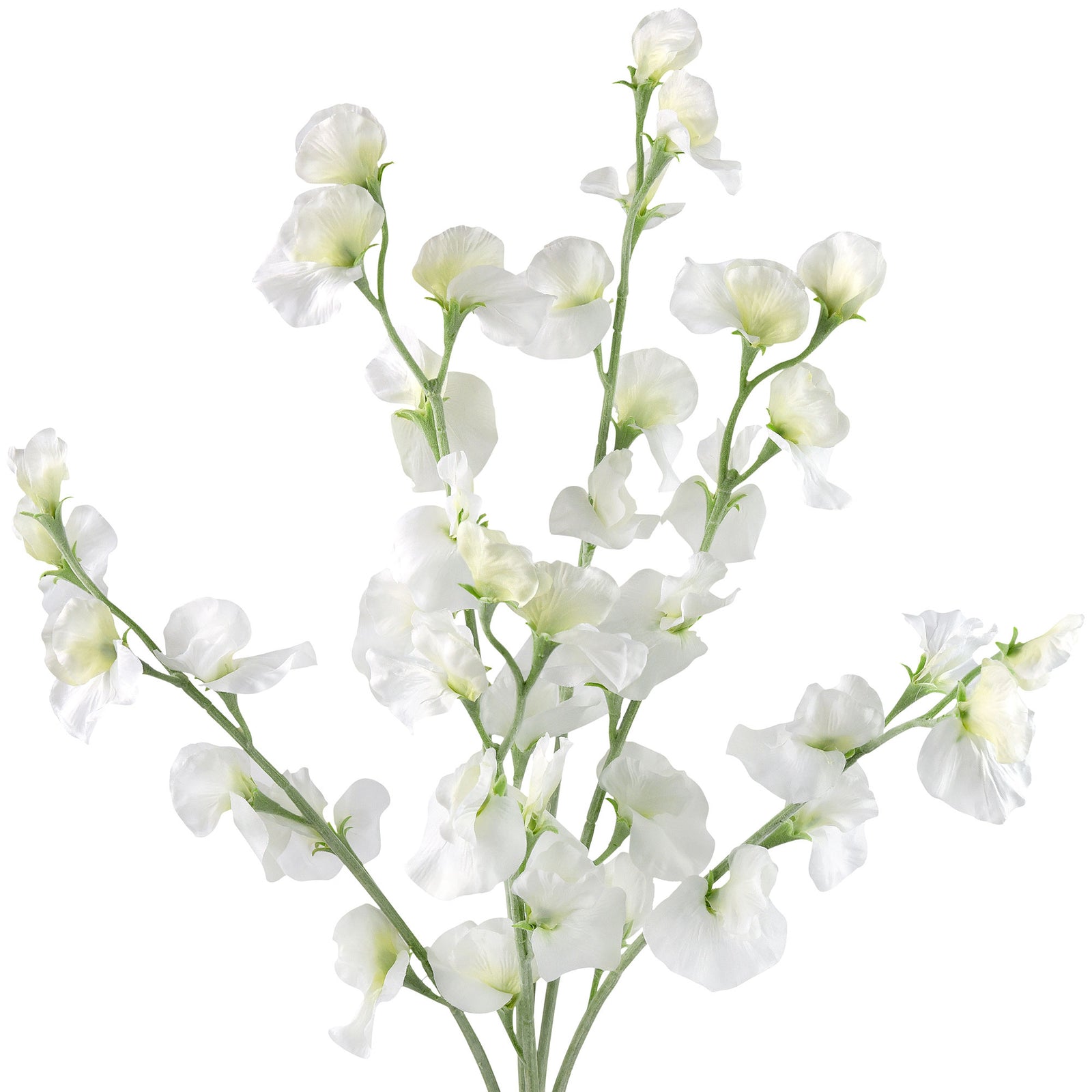 Soft White Sweet Pea Flowers Real Looking Artificial flowers Home Décor 24.8'' (6 Stems) FiveSeasonStuff