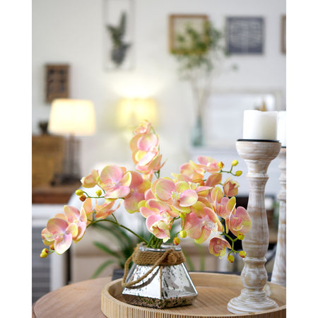 Lemon Pink 2 Stems Real Touch Artificial Butterfly Orchids/Moth Orchid/Phalaenopsis Flowers 27.6" Tall 70cm