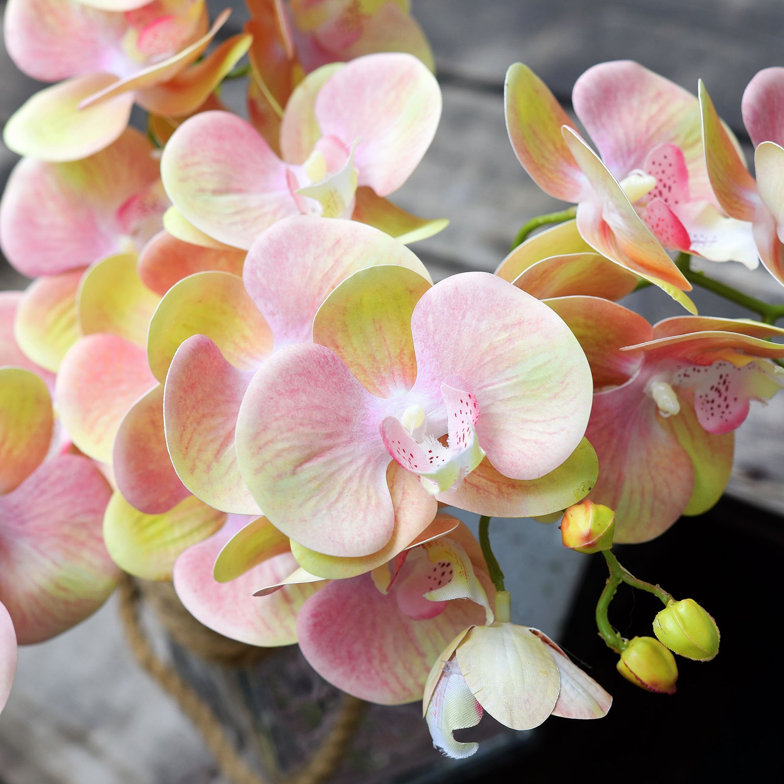 Lemon Pink 2 Stems Real Touch Artificial Butterfly Orchids/Moth Orchid/Phalaenopsis Flowers 27.6" Tall 70cm