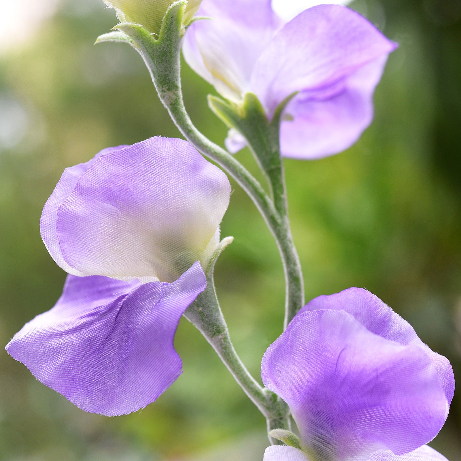 Indigo Purple Sweet Pea Flowers Real Looking Artificial flowers Home Décor 24.8'' (6 Stems) FiveSeasonStuff