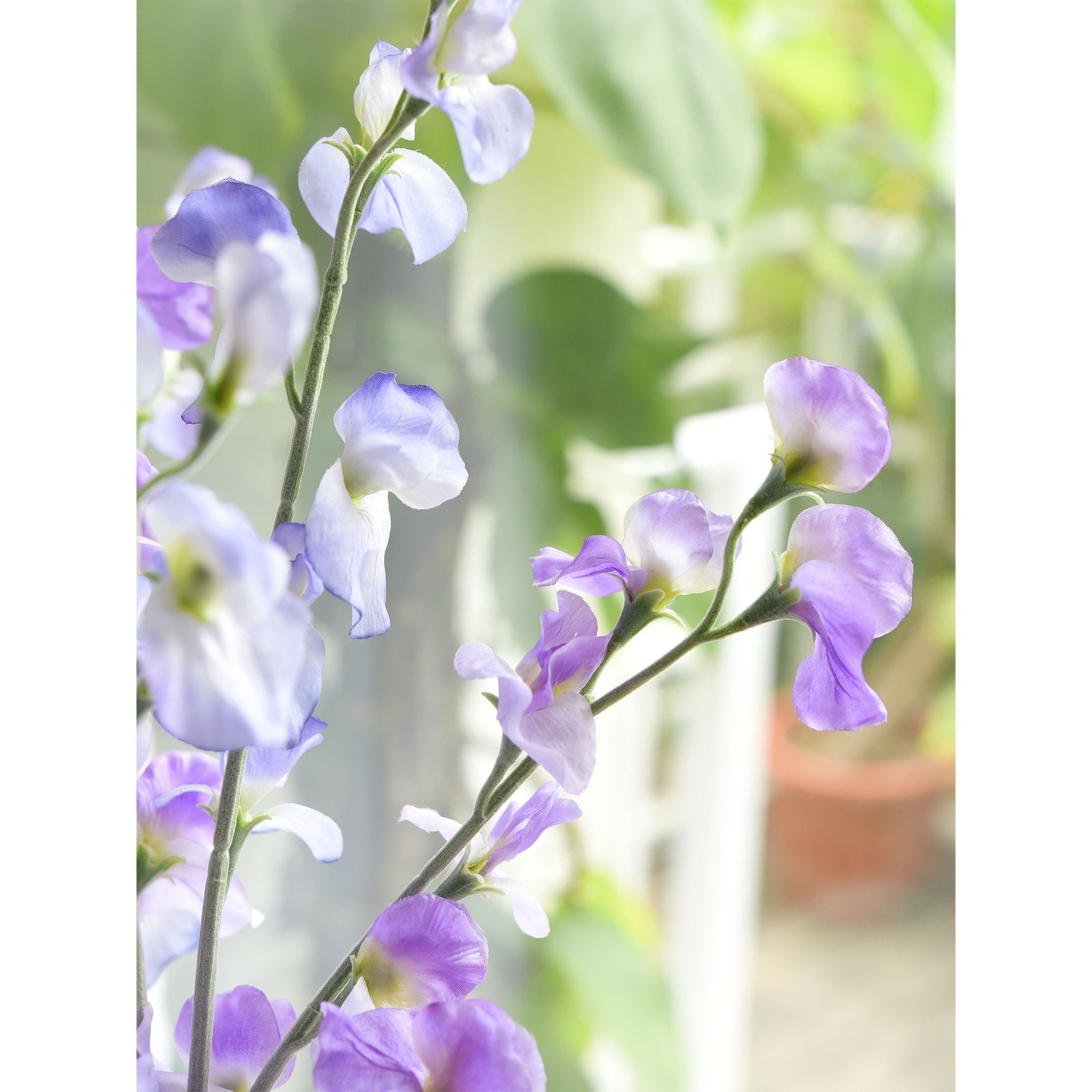 Indigo Purple Sweet Pea Flowers Real Looking Artificial flowers Home Décor 24.8'' (6 Stems) FiveSeasonStuff