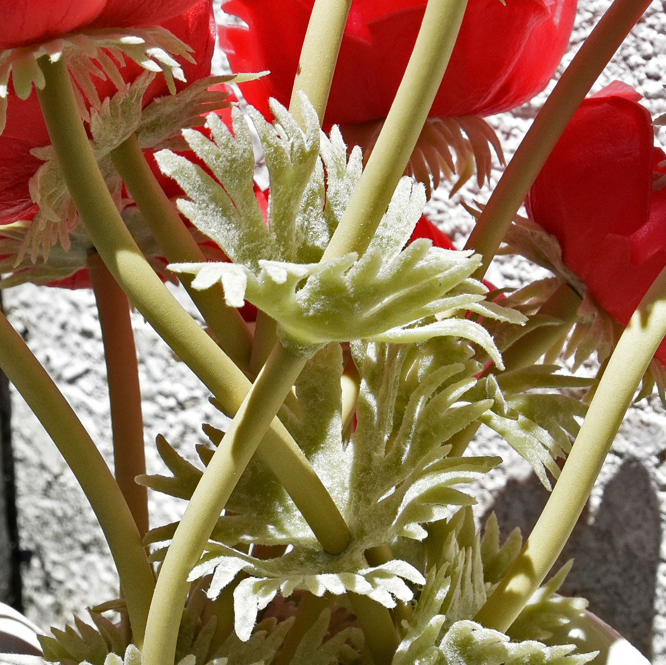 12 Long Stems of ‘Real Touch’ Artificial (Red) Anemone Flowers, Wedding Bouquet Flower Arrangement, 45cm (17.7 inches)