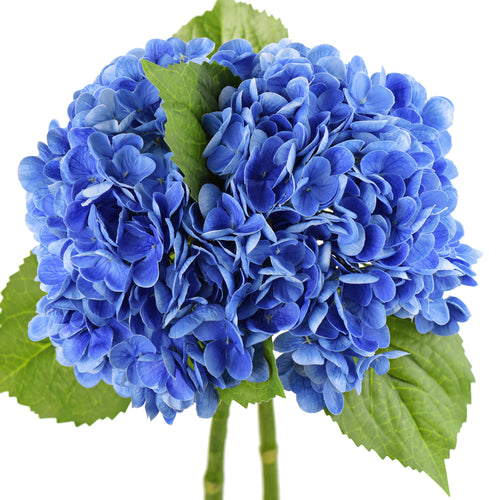 FiveSeasonStuff 2 Stems Real Touch Petals and Leaves Artificial Hydrangea Flowers Long Stem Floral Arrangement | for Wedding Bridal Party Home Décor DIY Floral Decoration (Blue Ocean)