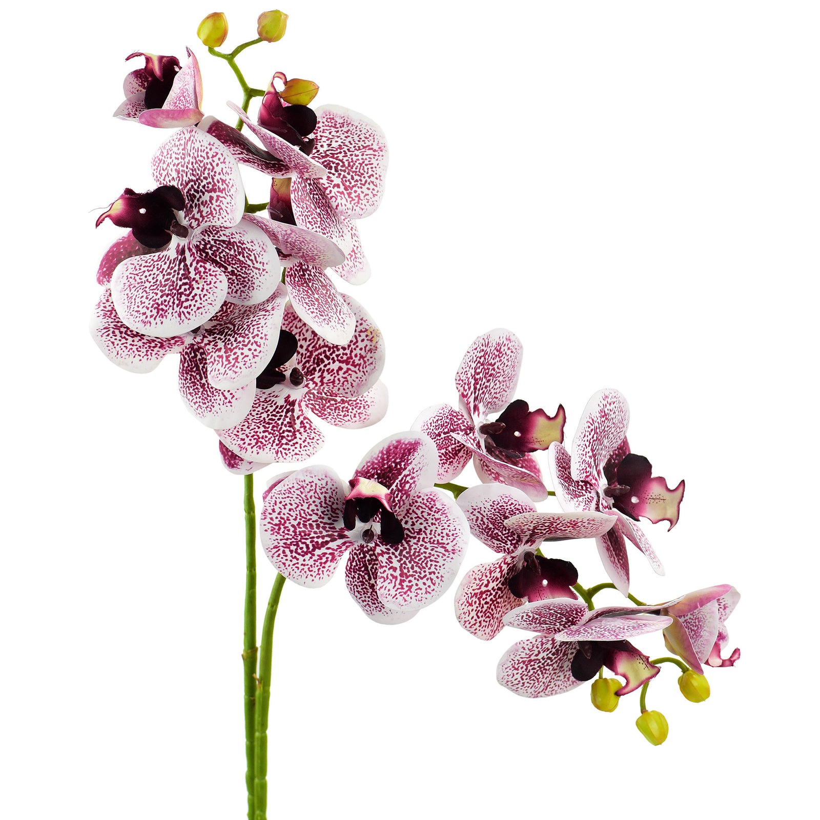 Light Magenta 2 Stems Real Touch Artificial Butterfly Orchids/Moth Orchid/Phalaenopsis Flowers 27.6" Tall 70cm
