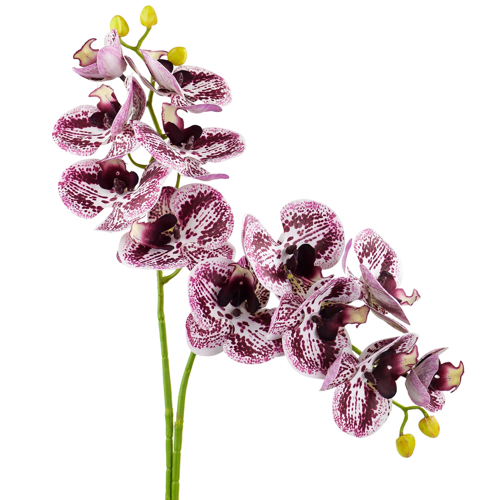 Dark Magenta 2 Stems Real Touch Artificial Butterfly Orchids/Moth Orchid/Phalaenopsis Flowers 27.6" Tall 70cm