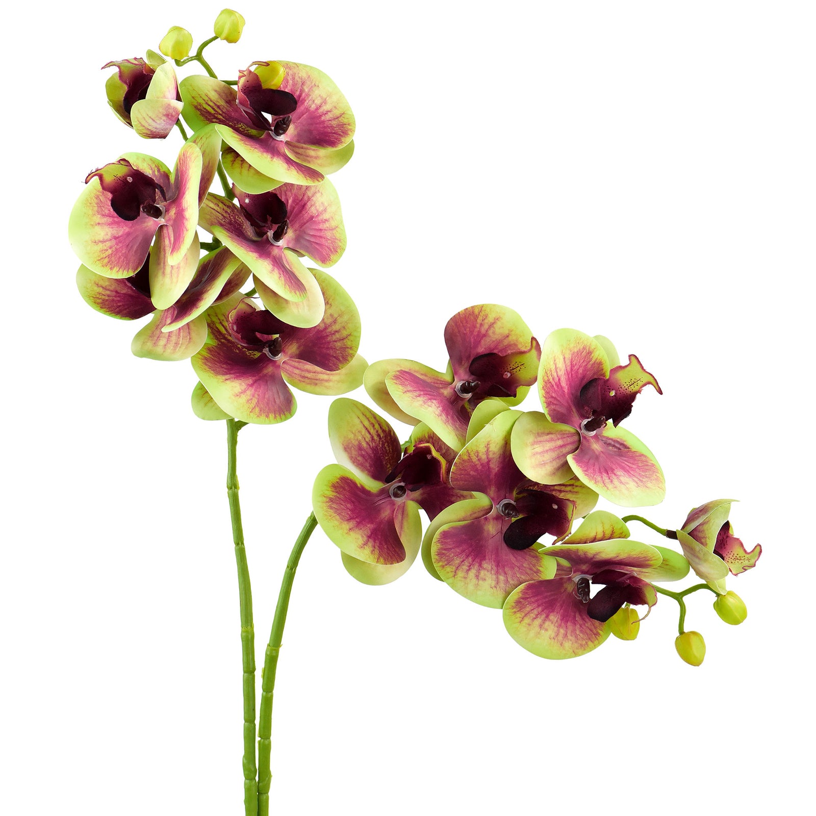 Blush Berry Apple 2 Stems Real Touch Artificial Butterfly Orchids/Moth Orchid/Phalaenopsis Flowers 27.6" Tall 70cm