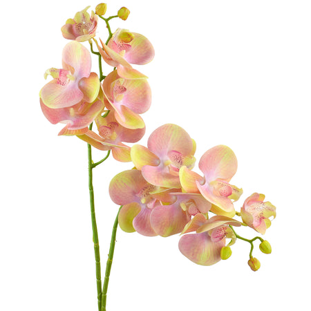 Lemon Pink 2 Stems Real Touch Artificial Butterfly Orchids/Moth Orchid/Phalaenopsis Flowers 27.6" Tall 70cm