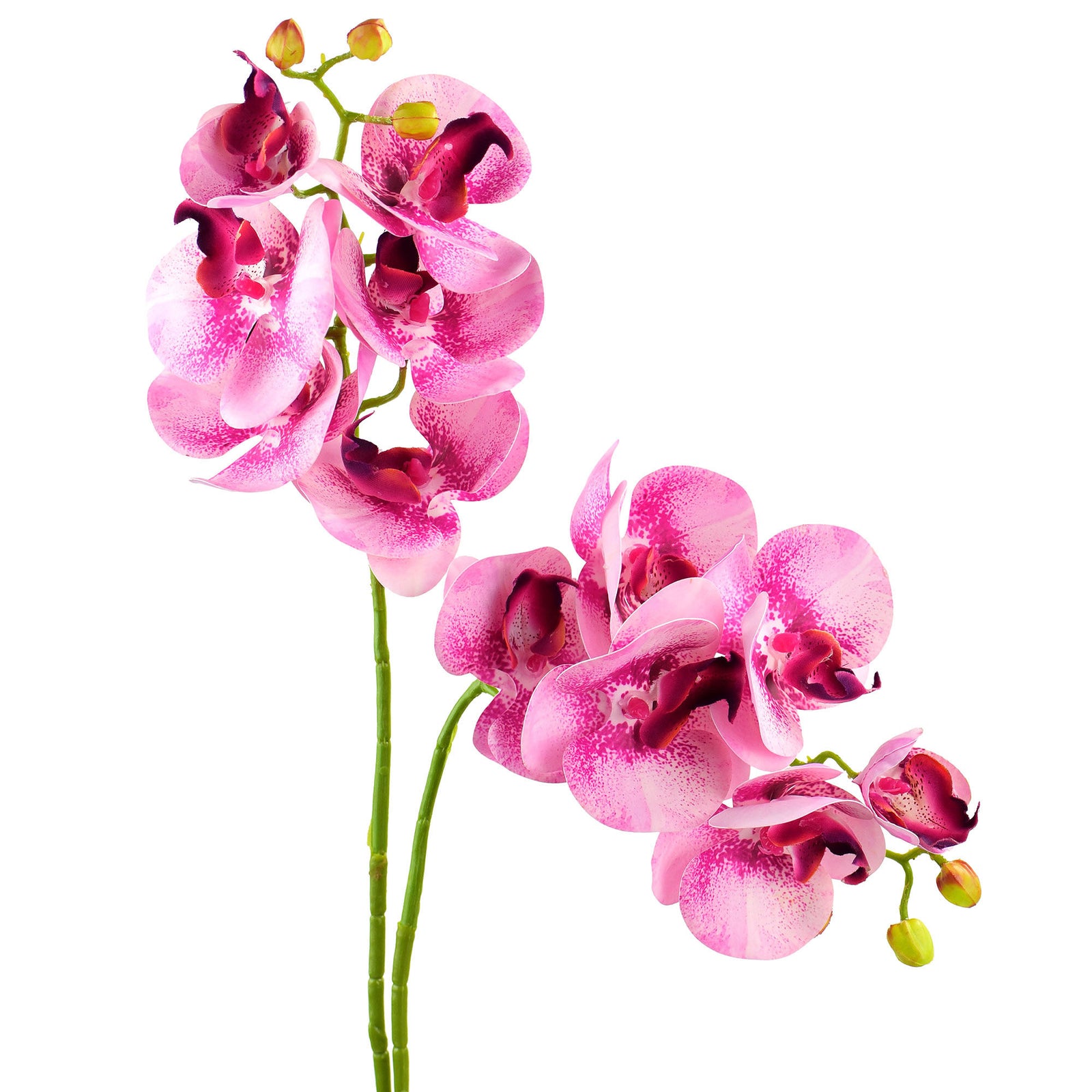 Pastel Violet 2 Stems Real Touch Artificial Butterfly Orchids/Moth Orchid/Phalaenopsis Flowers 27.6" Tall 70cm