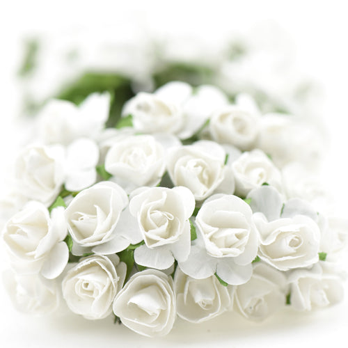 144 Pcs Mini Paper Rose Flowers (White)