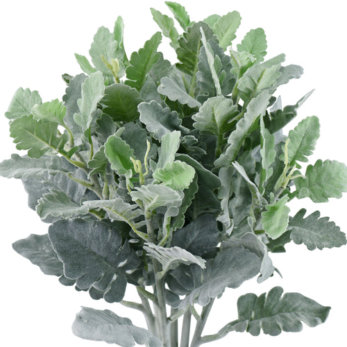 FiveSeasonStuff Dusty Miller Artificial Greenery Bush Plants for Wedding Flower Fillers DIY Bouquets and Floral Arrangements (6 Stems 18 inches Tall)