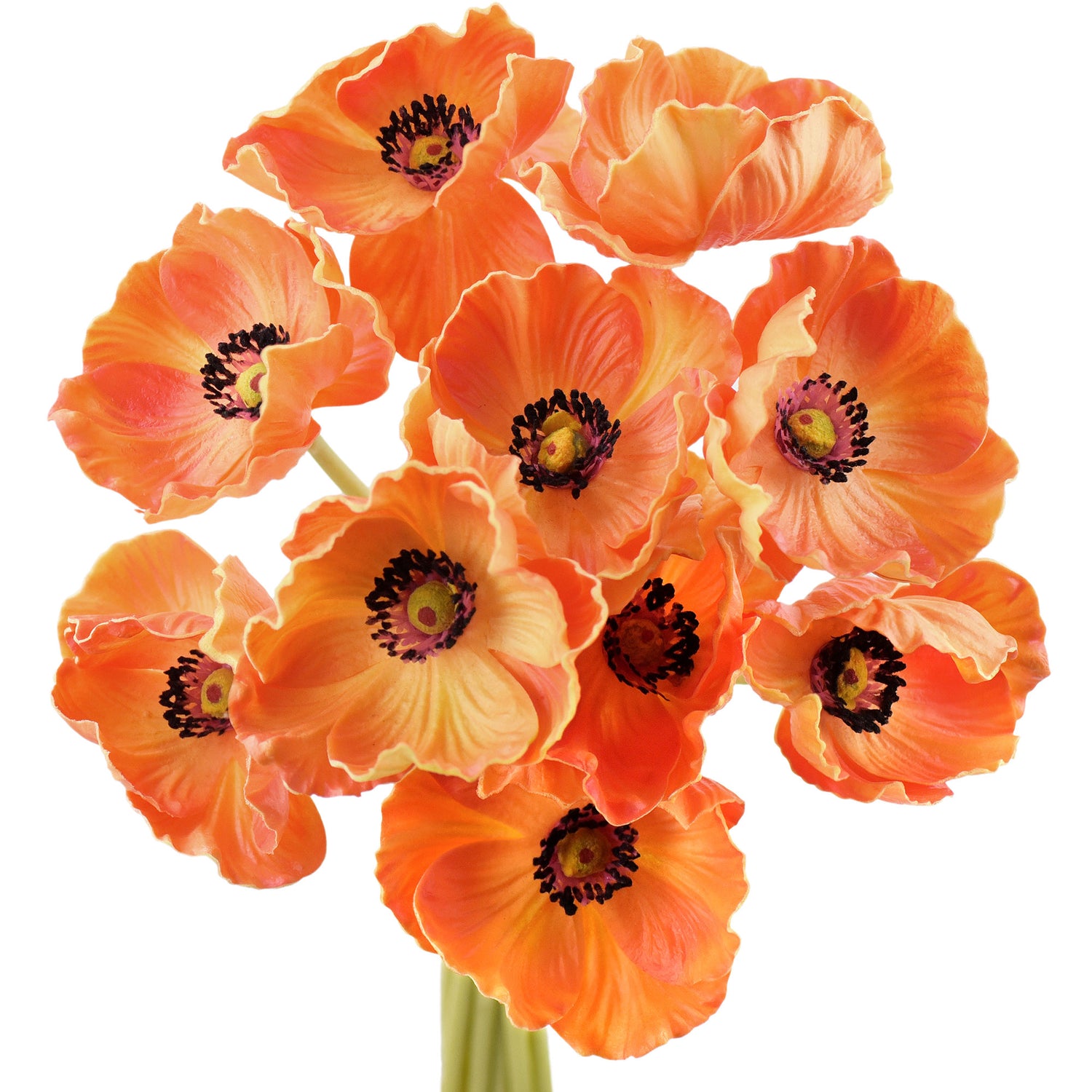 Citrus Poppies Orange & Red Floral Wrapping Paper – Designs by dVa