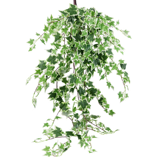 FiveSeasonStuff 4.3 ft (130cm) Cascading Variegated Ivy Artificial Garland