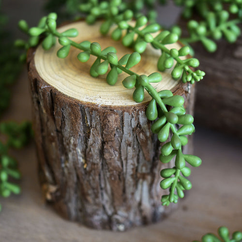 FiveSeasonStuff Artificial Faux String of Pearls Succulent Hanging Plants Decor (4 Stems)