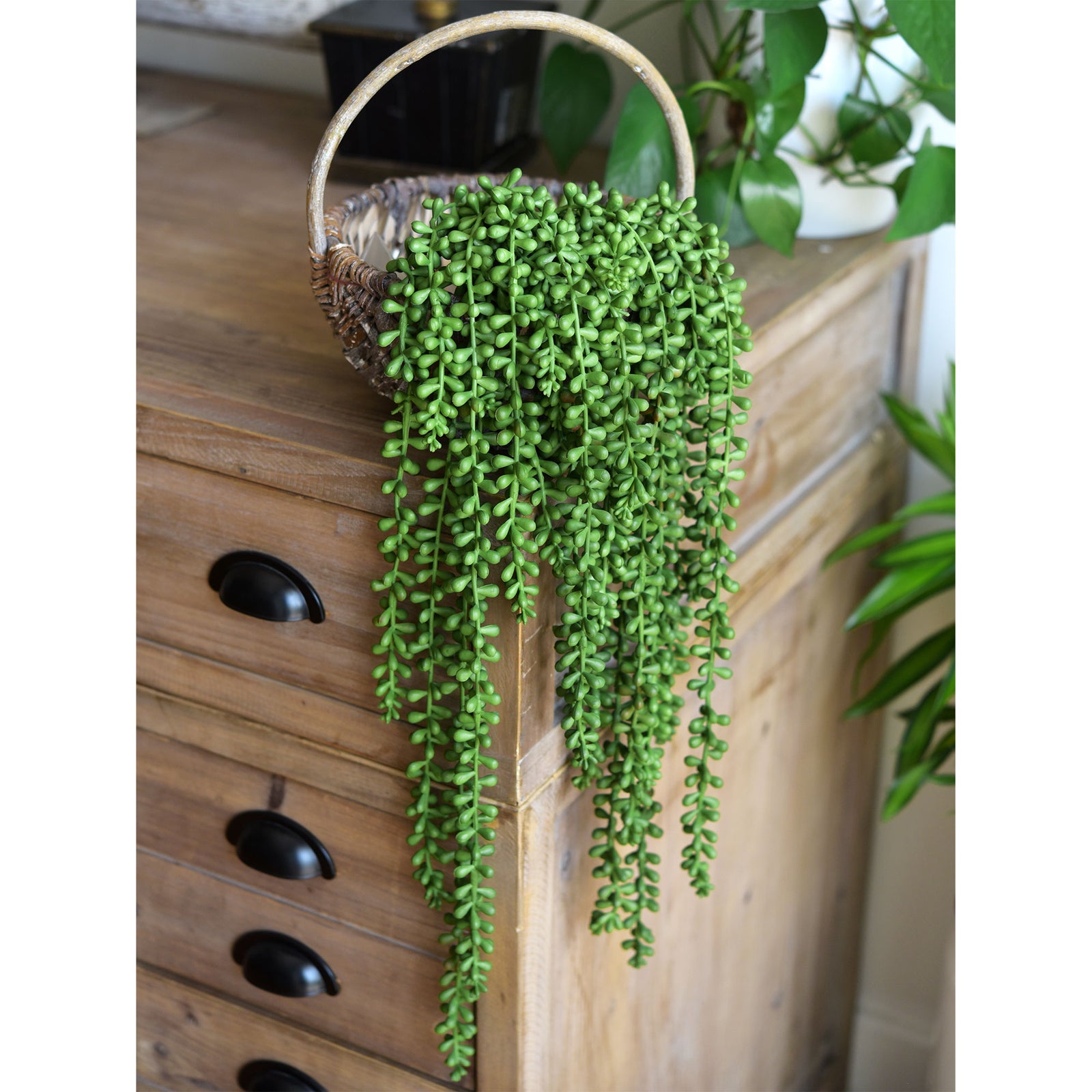 FiveSeasonStuff Artificial Faux String of Pearls Succulent Hanging Plants Decor (4 Stems)
