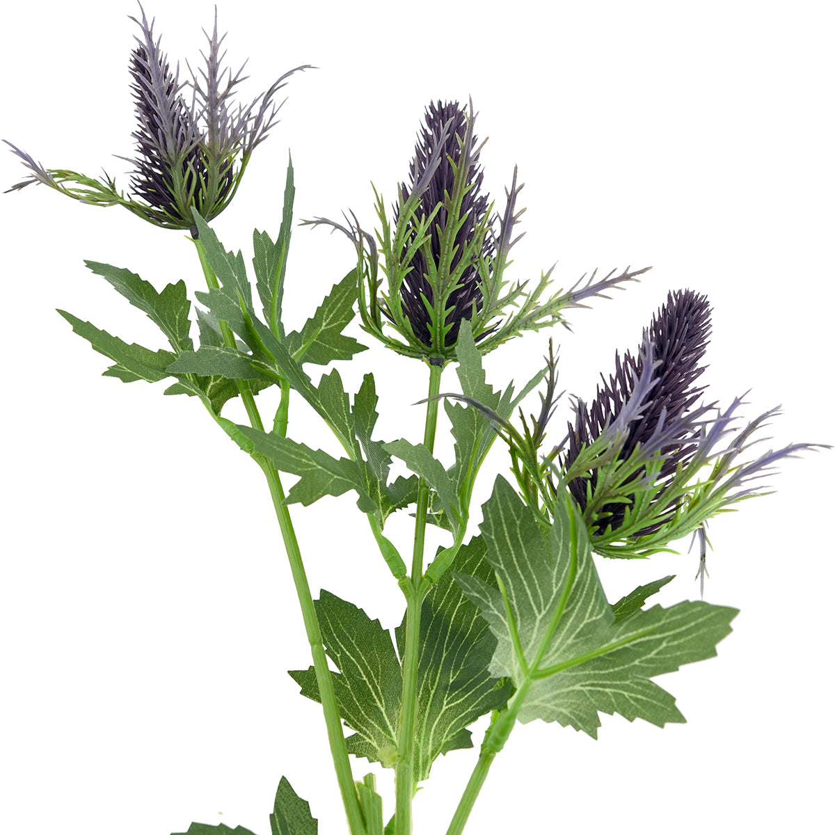 Real Size Artificial Eryngium (Sea Holly) Purple Thistles (8 Stems)