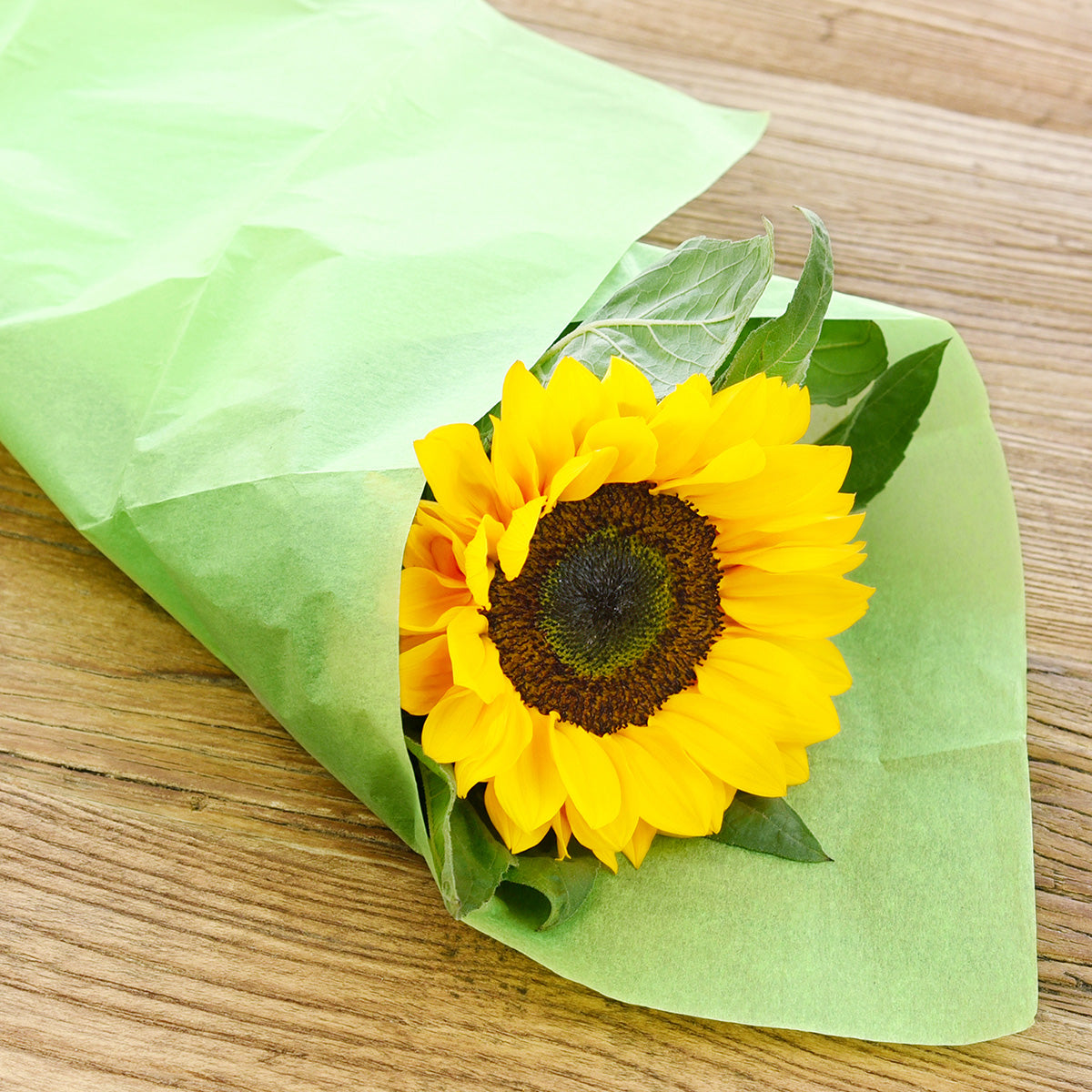 Green Yellow Wrapping Tissue Paper Set - FiveSeasonStuff