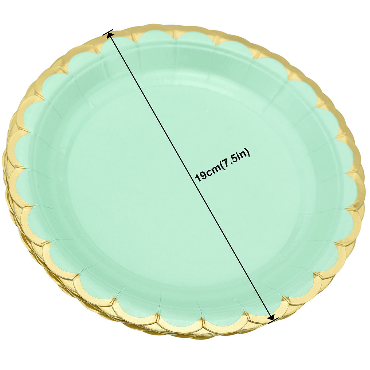 Mint Green Round Party Paper Plates 24 Pieces