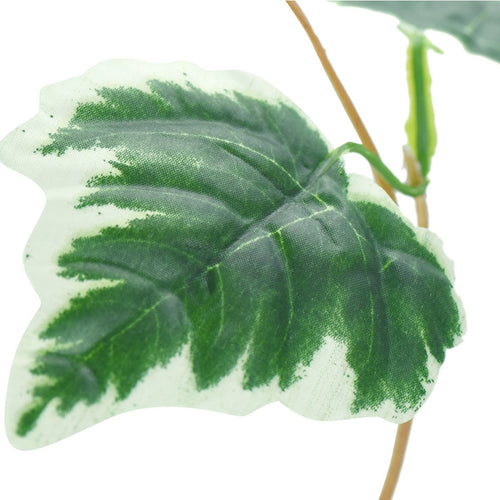 Artificial Hanging Plant White Edge Ivy Leaves Vine Silk Greenery Leaves (12.5m / 41 feet)