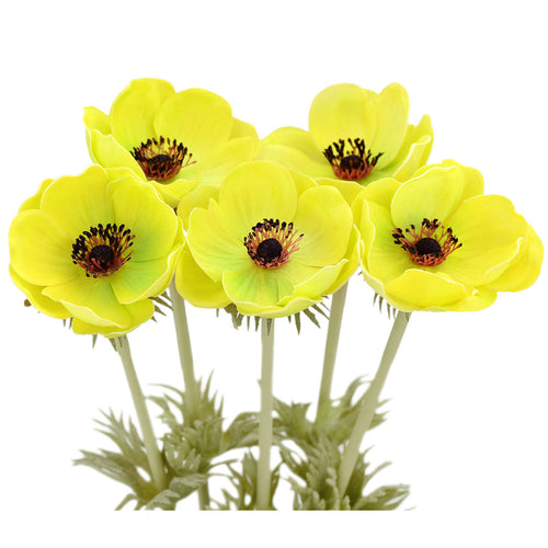 5 Long Stems (Bright Yellow) Anemone ‘Real Touch’ Artificial Flower