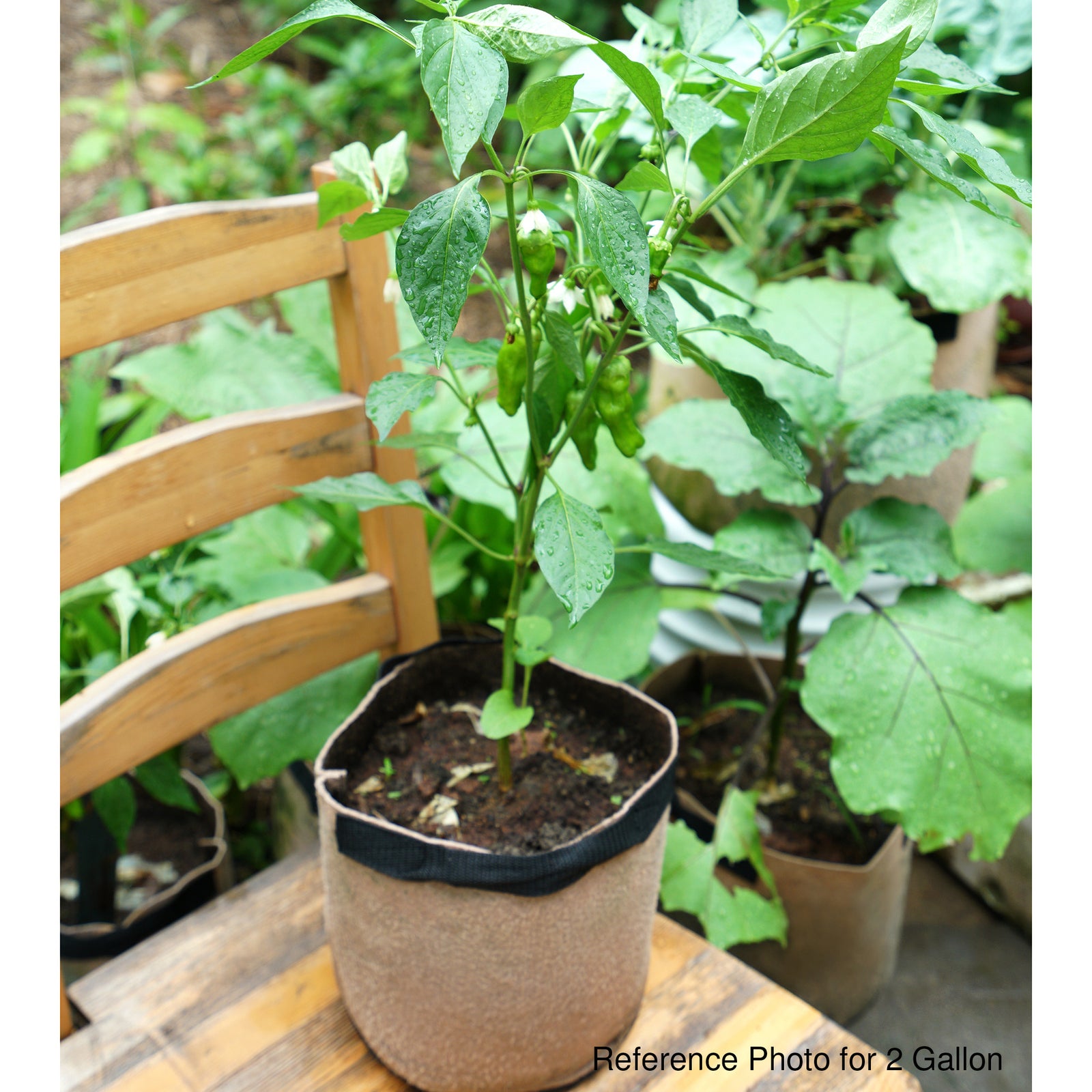 5 Pack 2 Gallons Grow Bags Healthy Smart Gardening Pots