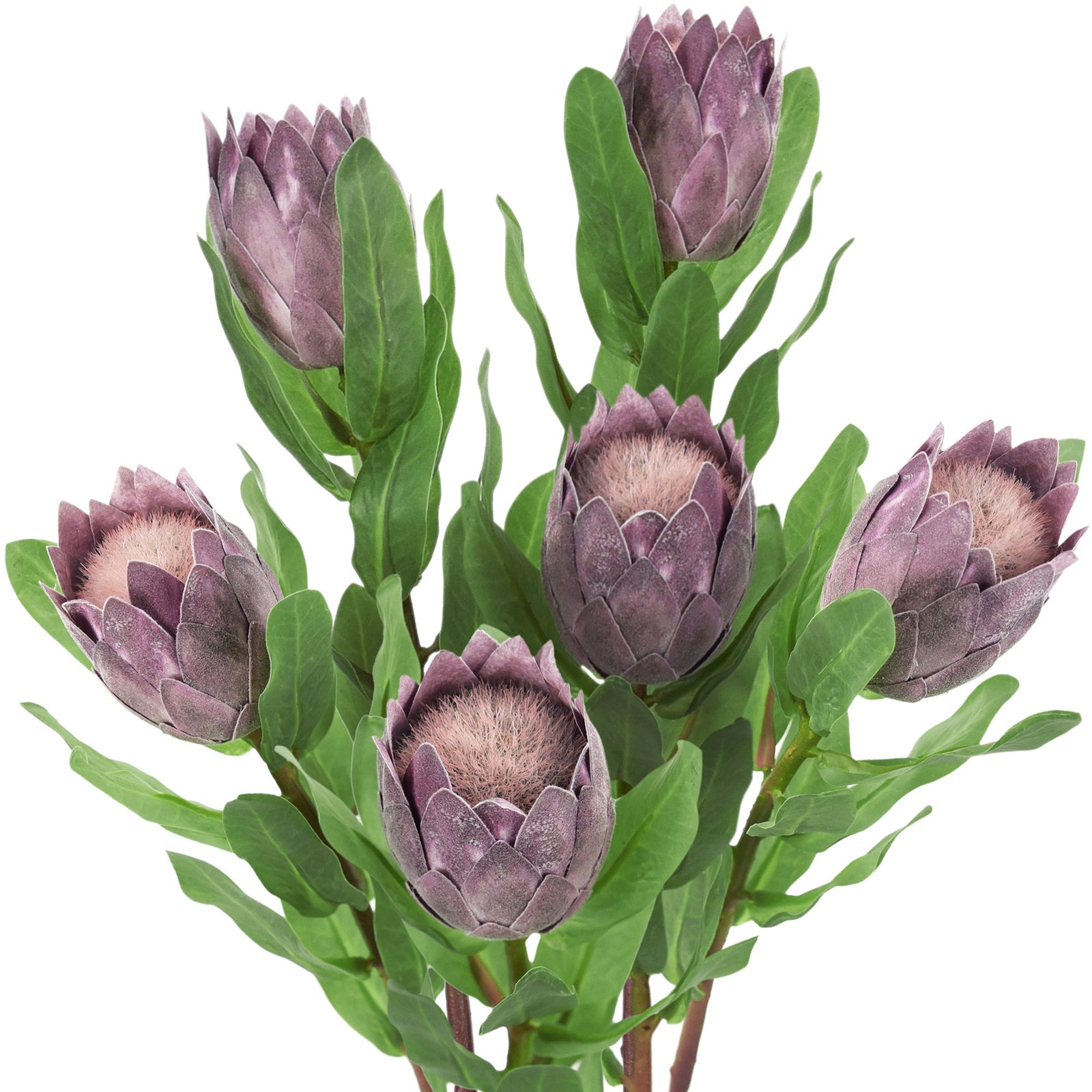Dusty Antique Purple Sugarbush Baby Protea Silk Artificial Tropical Flowers 6 Stems 18.9 inches Tall