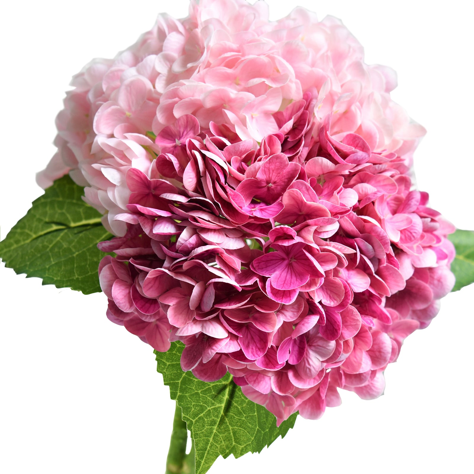 FiveSeasonStuff 2 Stems Real Touch Petals and Leaves Artificial Hydrangea Flowers Long Stem Floral Arrangement (Mixed Pink)