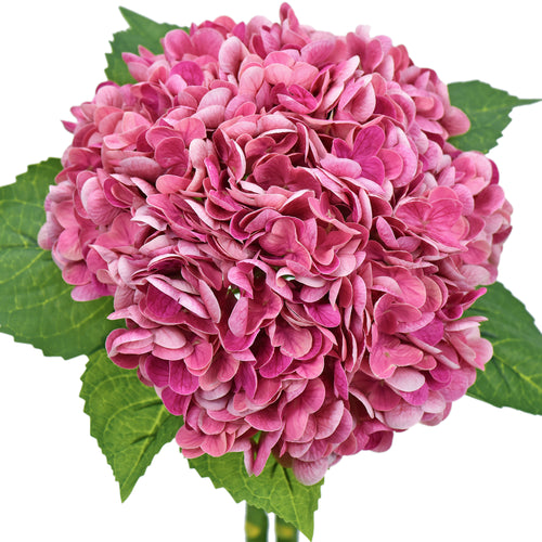 2 Stems Real Touch Petals and Leaves Artificial Hydrangea Flowers Long Stem Floral Arrangement (Magenta Pink)