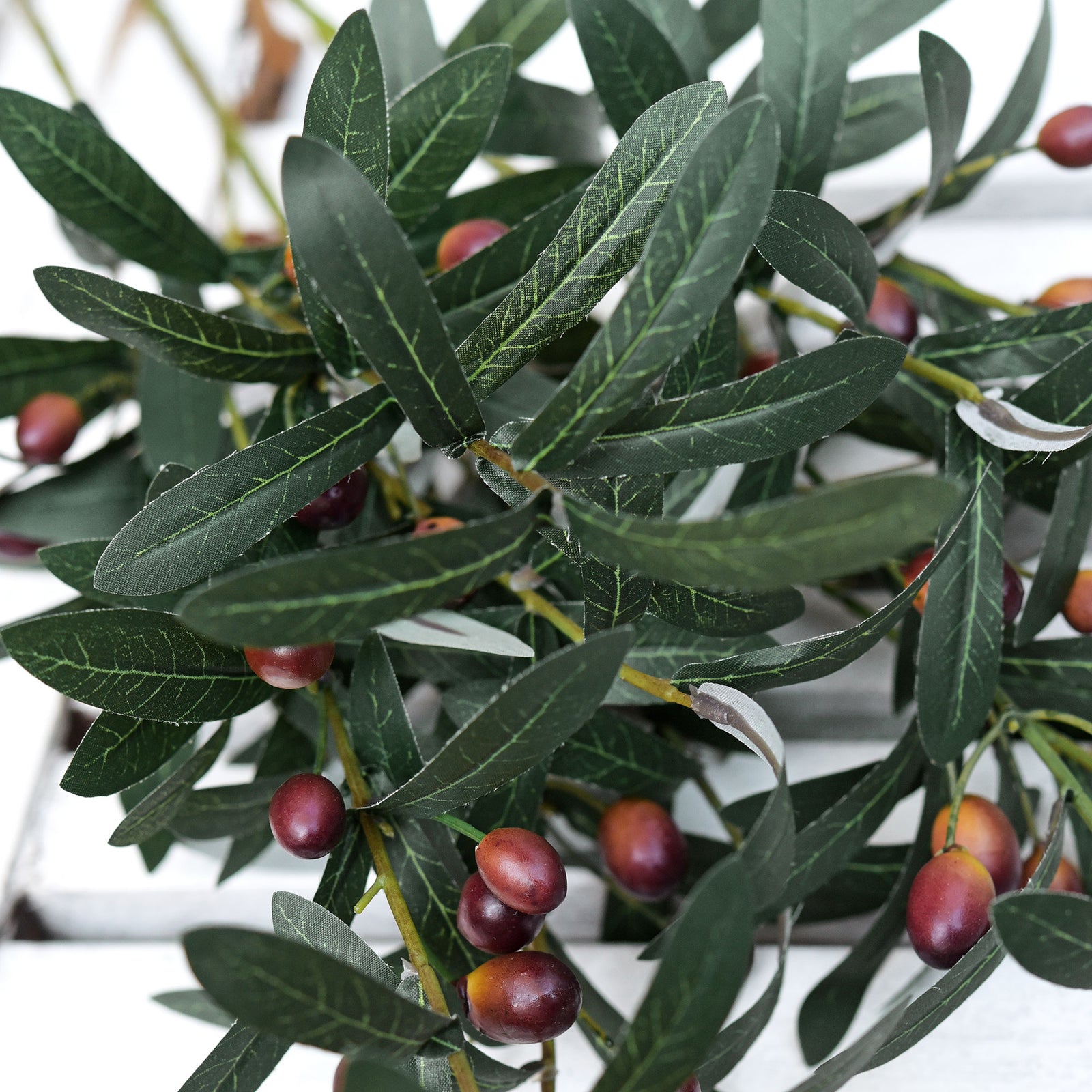 Fresh Olive Branch Greenery