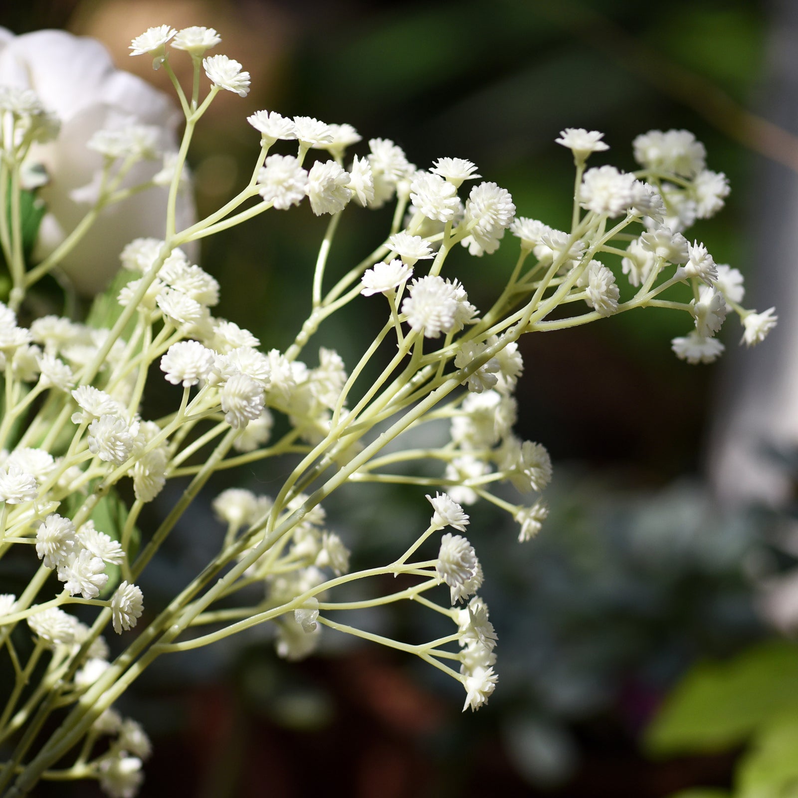 10 Piece Gypsophila Artificial FlowersBaby's Breath Bushes