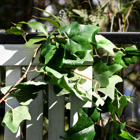 FiveSeasonStuff 2 Pcs Ivy Garland Artificial Silk Leaf Vine Hanging Garland for Wall Decoration, Wedding, Bridal, Wreaths