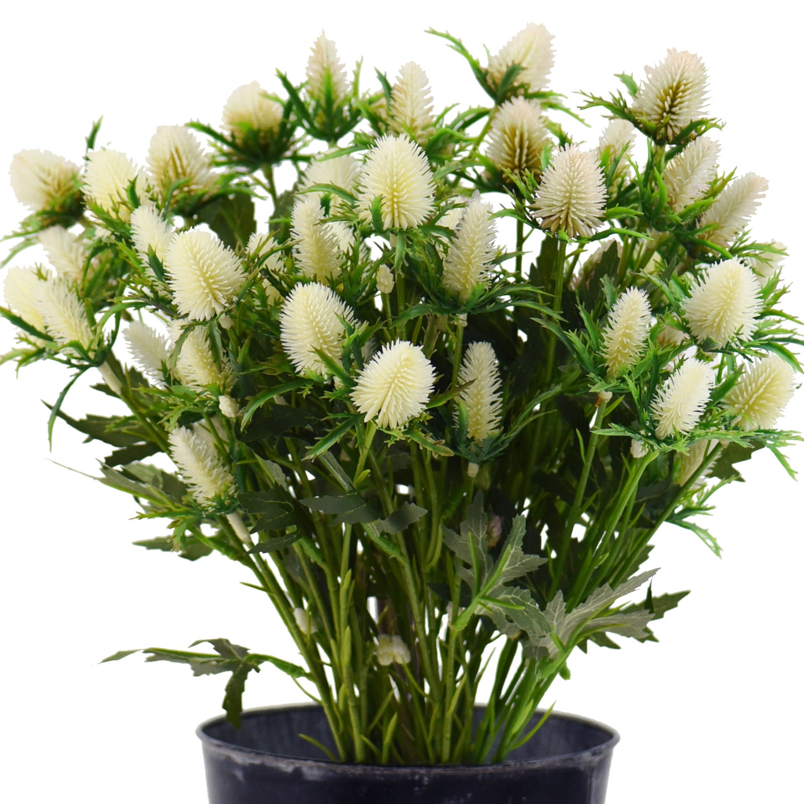 Real Size Artificial Real Touch Eryngium (Sea Holly) White Thistles (5 Stems)