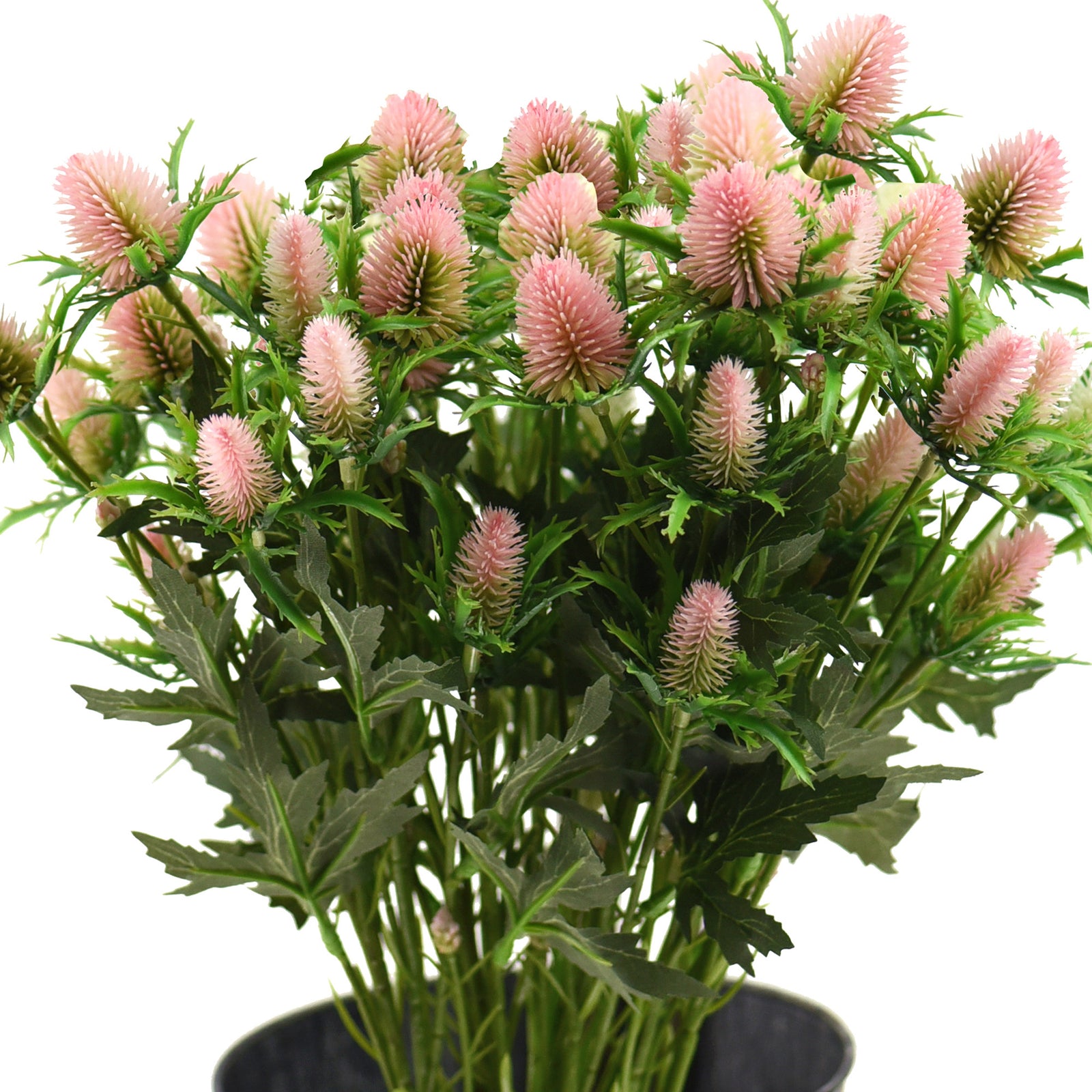 Real Size Artificial Real Touch Eryngium (Sea Holly) Pink Thistles (5 Stems)
