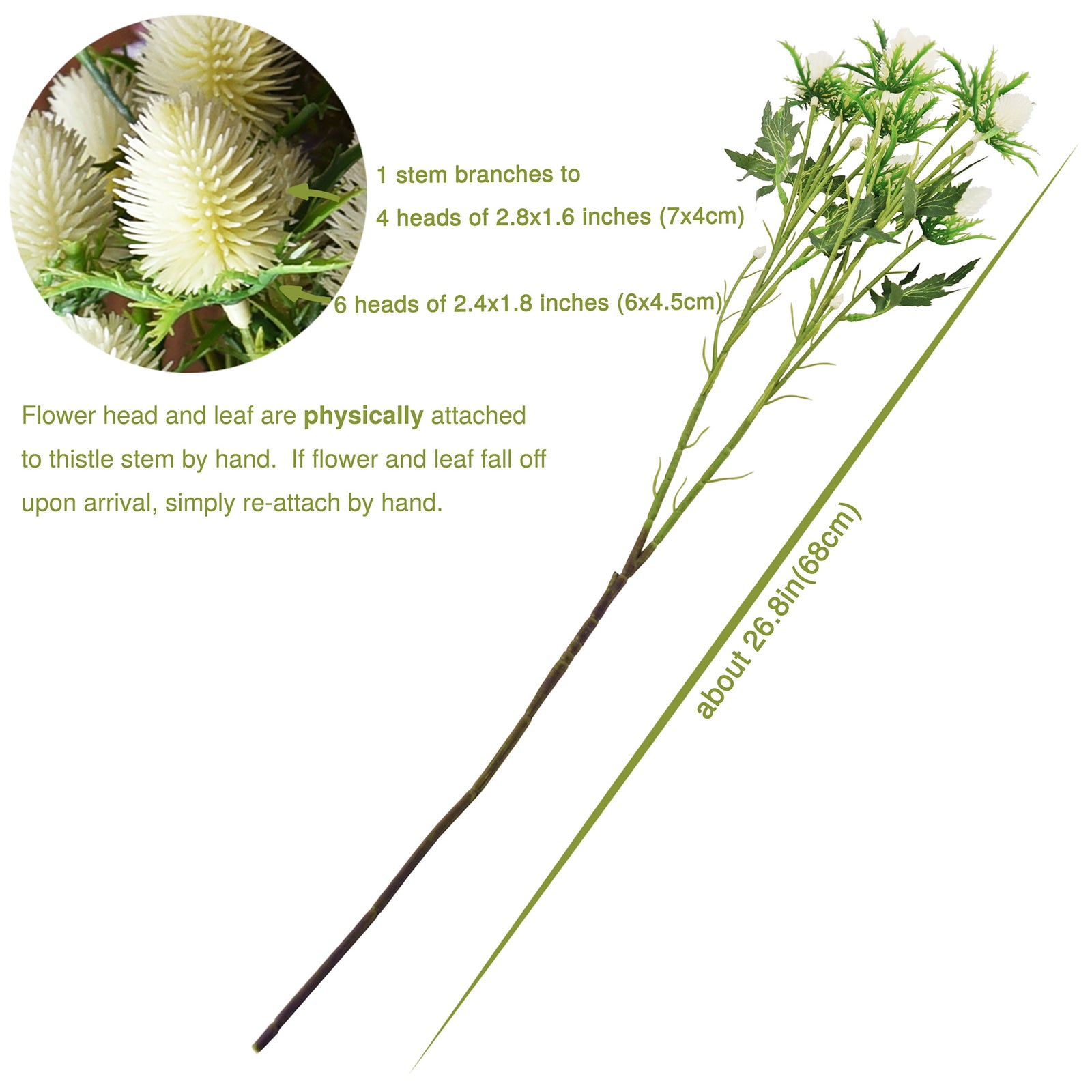 Real Size Artificial Real Touch Eryngium (Sea Holly) White Thistles (5 Stems)