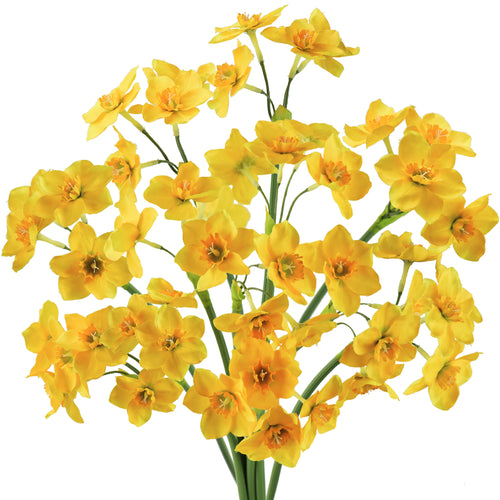 FiveSeasonStuff Yellow Daffodils Silk Artificial Flowers 12 Stems
