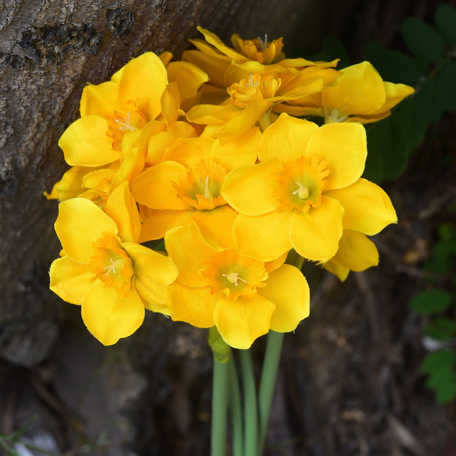 FiveSeasonStuff Yellow Daffodils Silk Artificial Flowers 12 Stems