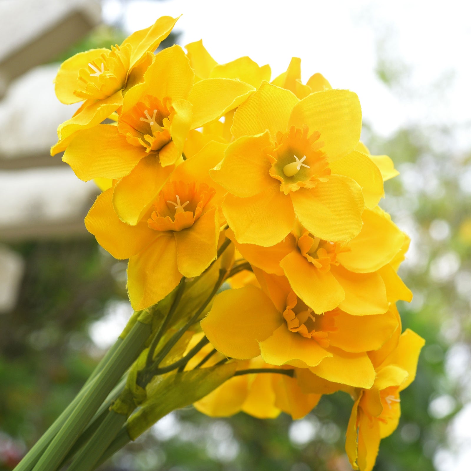 FiveSeasonStuff Yellow Daffodils Silk Artificial Flowers 12 Stems