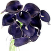 Dark Blue Violet