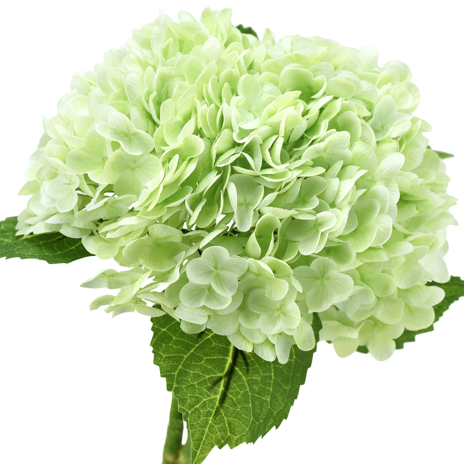 FiveSeasonStuff 2 Stems Real Touch Petals and Leaves Artificial Hydrangea Flowers Long Stem Floral Arrangement | for Wedding Bridal Party Home Décor DIY Floral Decoration (Pale Green)